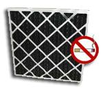 ODOR BAN Carbon Pleated Filter